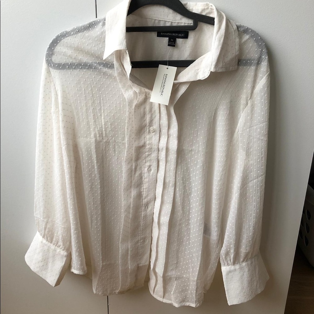 Sheer Banana Republic Top